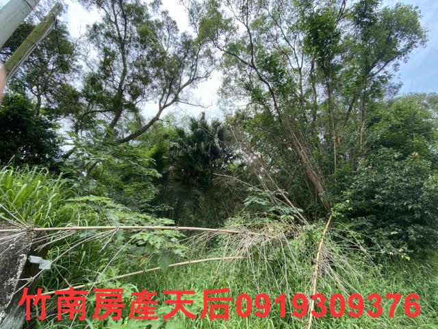 芎林農地-1